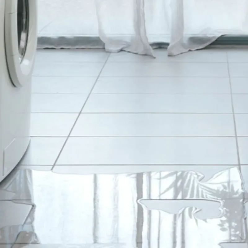 Appliance Leak Cleanup in Buckley, WA