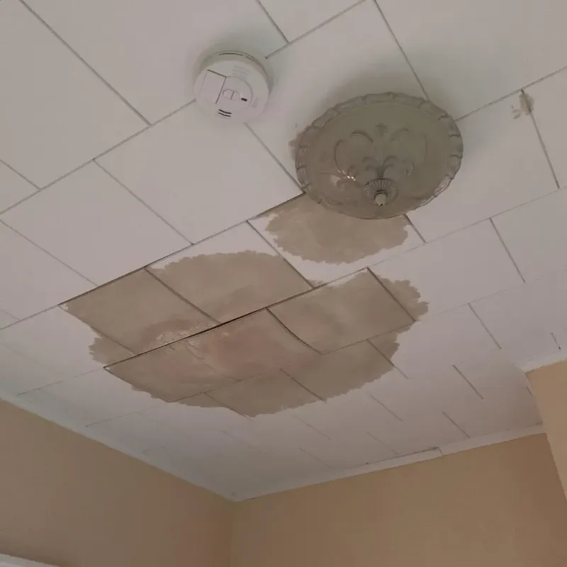 Ceiling Water Damage Repair in Buckley, WA