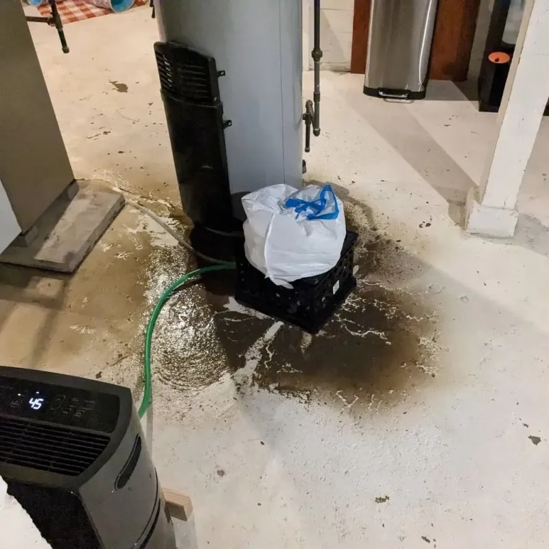 Sewage Backup Cleanup Service in Buckley, WA